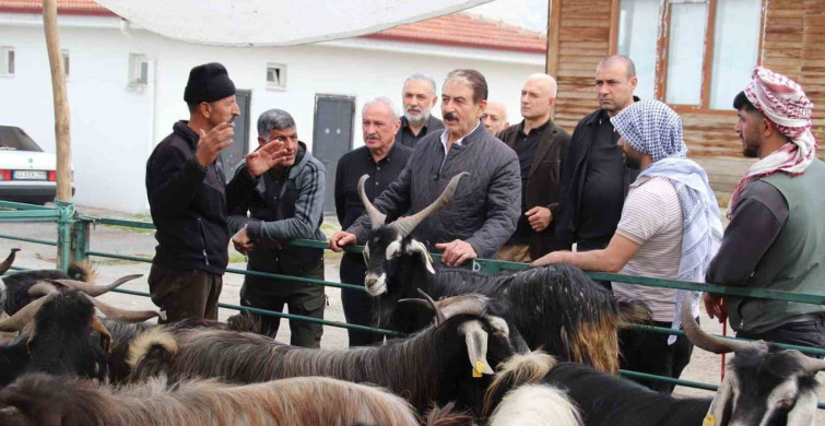 Canlı Hayvan Pazarı Tekrar Kamu Malı Olmalı