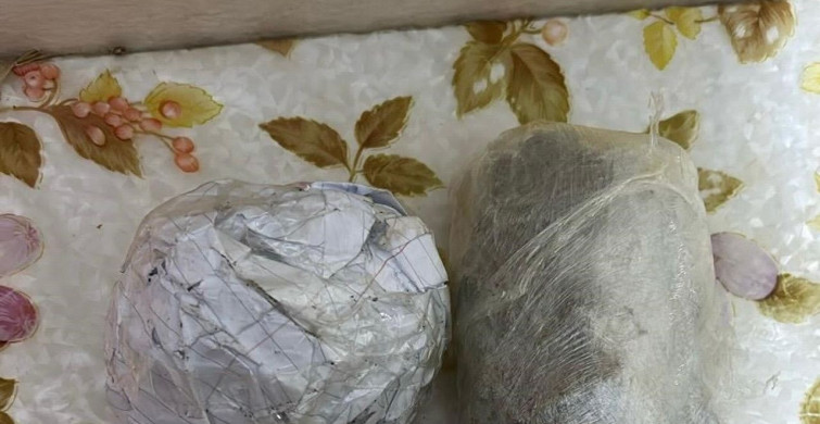 Çapkanlar suç örgütüne yönelik operasyonda 24 şahıs yakalandı