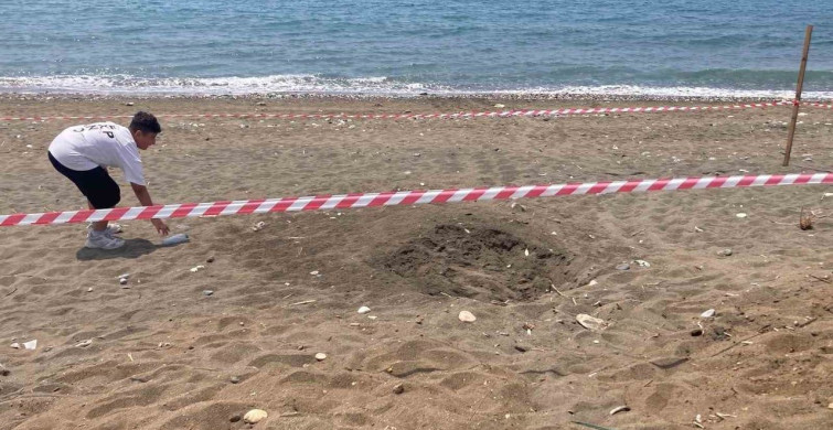 Caretta Caretta için Alınan Koruma Önlemleri