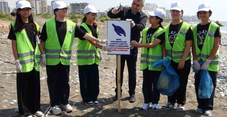 Caretta Carettaların Yumurtlama Dönemi Başladı