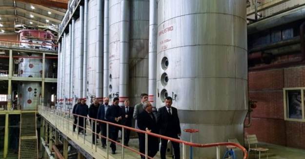 Çarşamba Şeker Fabrikası Yeniden Üretimde