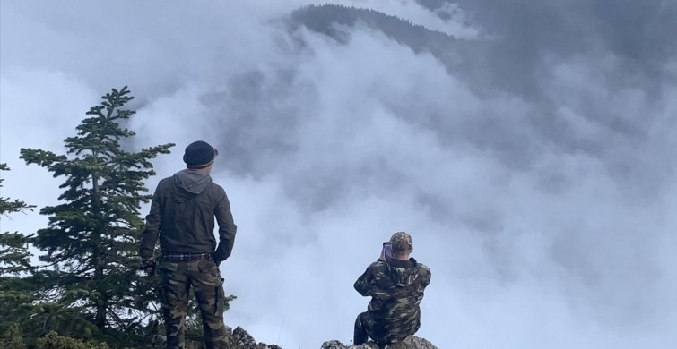 Çatak Kanyonu Tabiat Parkı'nın Etkileyici Sis Manzarası