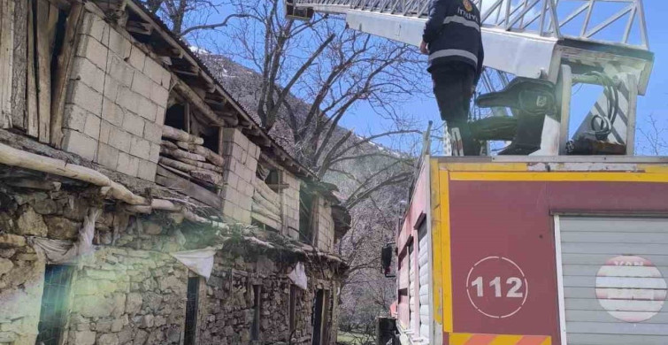 Çatak'ta Ceviz Ağacı Ahırın Üzerine Devrildi