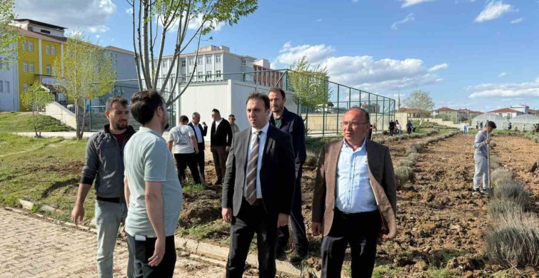 Çavdarhisar'da Öğrencilerden Lavanta Fidanı Dikimi