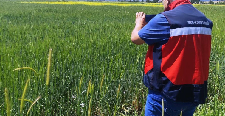 Çavdarhisar'da Tarımsal Üretim İçin Referans Parsel Çalışmaları