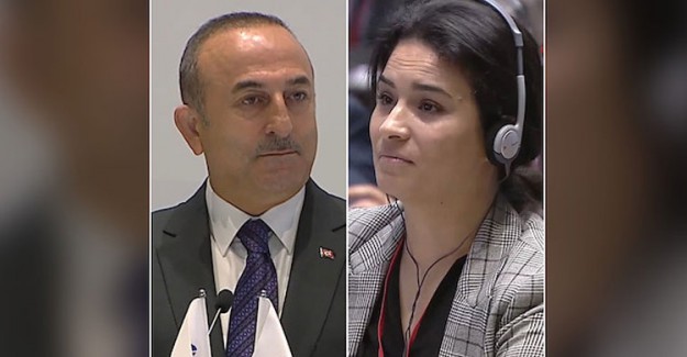 Çavuşoğlu'nun Ayar Verdiği Fransız Parlamenter Bir Tokat da Twitter'dan Yedi