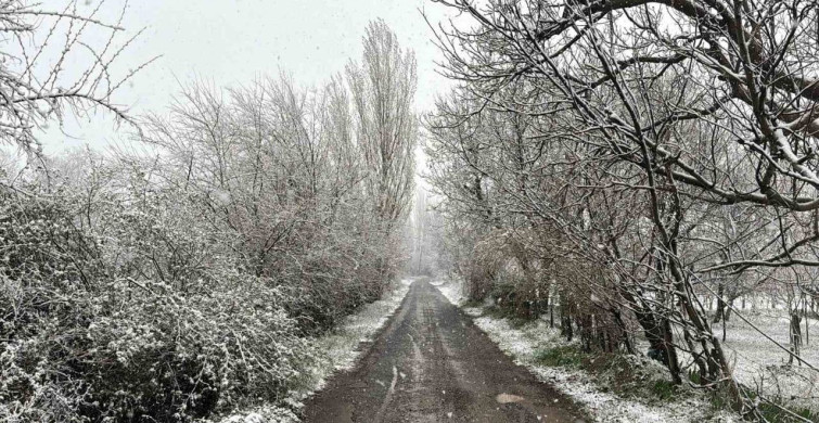 Çay İlçesi Beyaza Büründü: Lapa Lapa Kar Yağışı