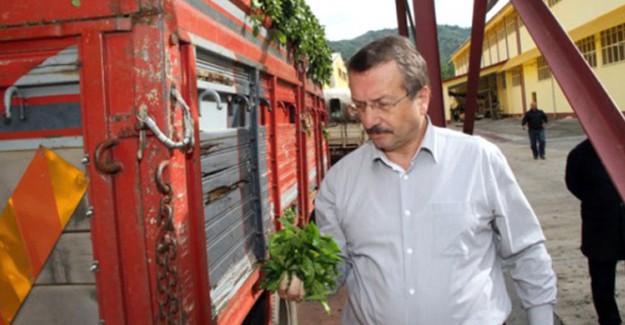 ÇAYKUR Genel Müdürü İmdat Sütçüoğlu İstifa Etti