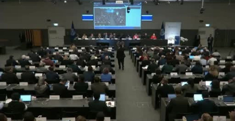 Cenevre'de ILO Konferansı'nda Filistin'e Destek Protestosu