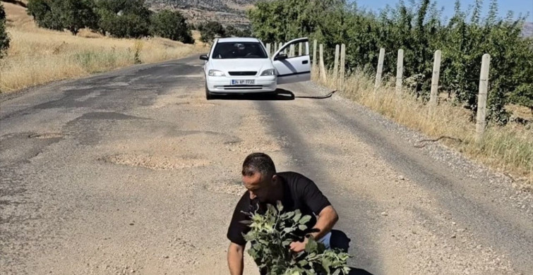 Çermik’te yolların yapılmamasını ağaç dikerek protesto ettiler