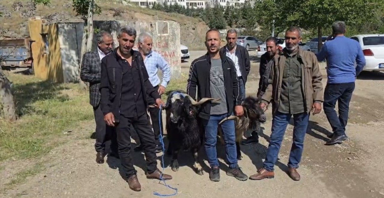 Çermik'teki Hayvan Pazarında Bayram Hareketliliği