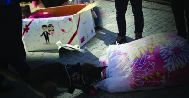 Çeyiz Eşyalarının Arasından Çıkanlar Polisleri Hayrete Düşürdü