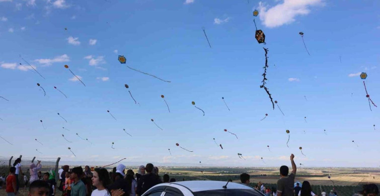 Ceylanpınar'da Uçurtma Şenliği Coşkusu