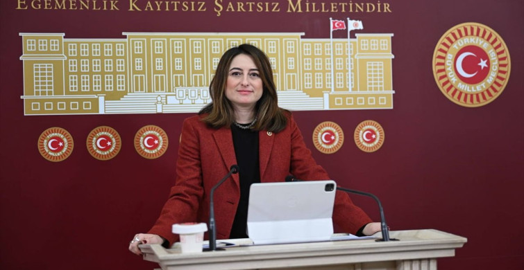 CHP Milletvekili Aysu Bankoğlu'ndan Esnaf Borçlarına Çözüm Önerisi