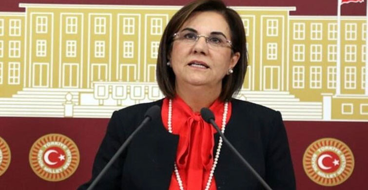 CHP'li Gaye Usluer İstifa Etti