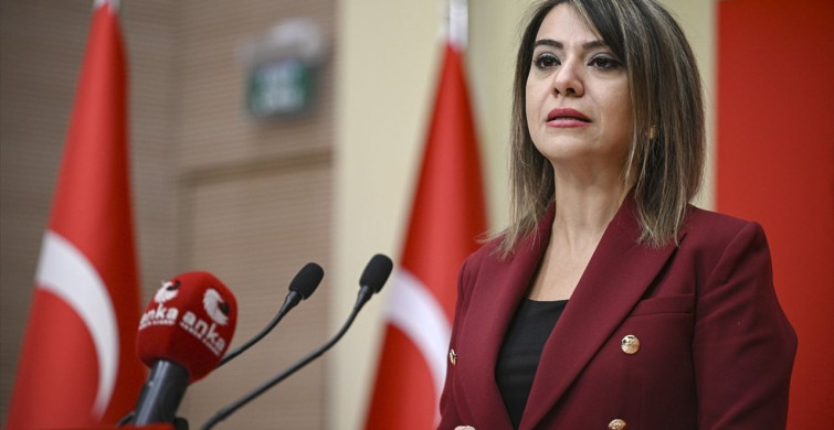 CHP'li Taşcıer Sayıştay Raporunu Değerlendirdi