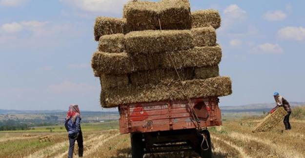 CHP'nin 'Saman' Açıklamasına Yanıt!