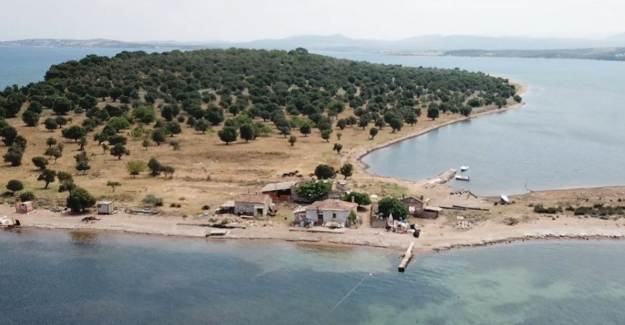 Çiçek Adası Nerede?