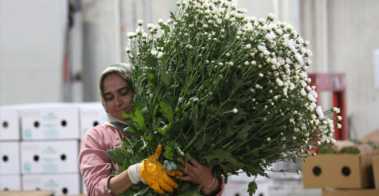 Çiçek Sektöründe Rekor İhracat Hedefi