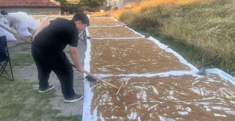 Çiçekdağı ilçesinde geleneksel bulgur yapım sezonu başladı