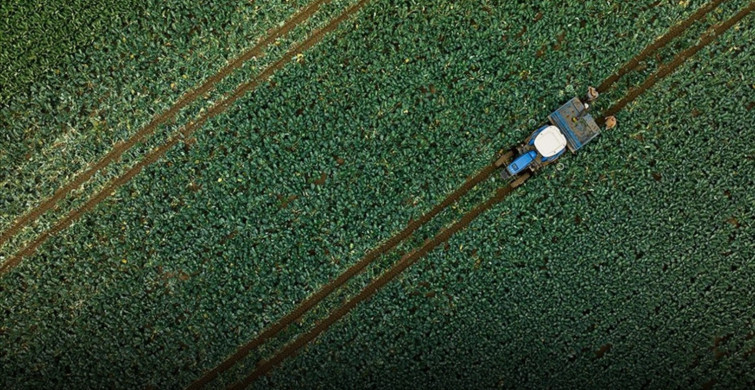 Çiftçilerin yaş ortalaması 58’e kadar yükseldi.