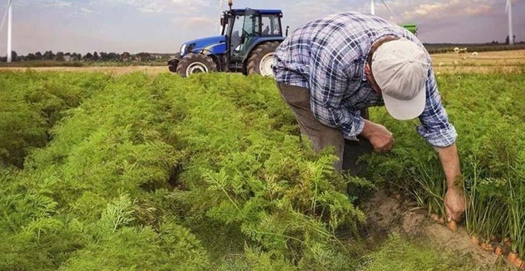 Çiftçiye Müjde! Ekim Ayında Rekor Destek Ödemesi Geliyor