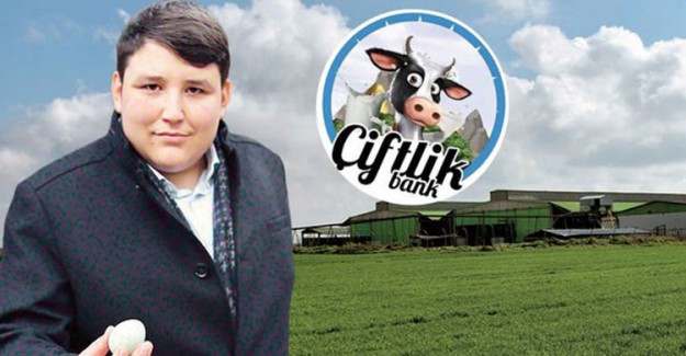 Çiftlik Bank'ın Örgüt Şeması Belli Oldu