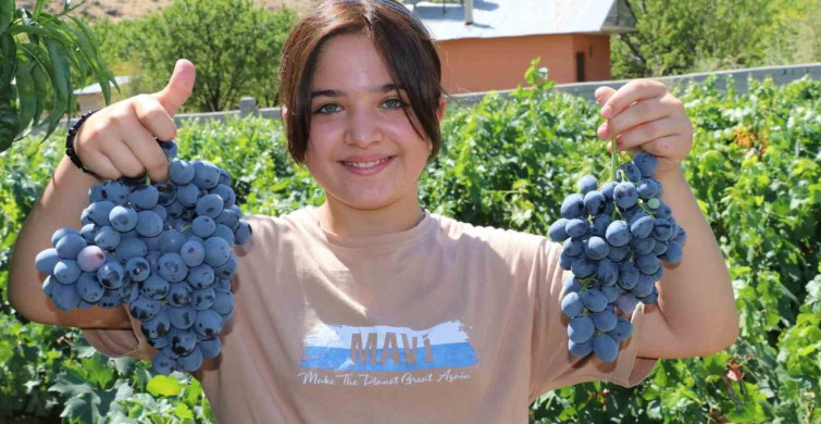 Cimin Üzümü Çekirdeği: Antioxidant ve Antienflamatuvar Özellikler