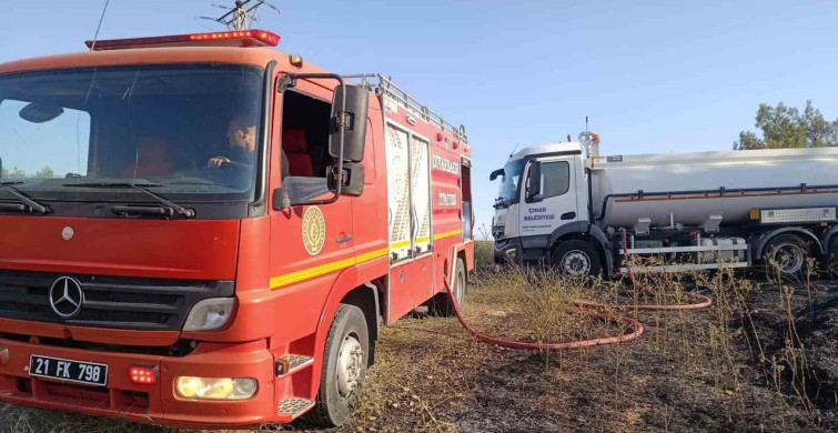 Çınar'daki yangın iki leyleği telef etti