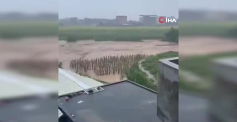 Çin'de sel nedeniyle çiftliklerden 900'den fazla yılan kaçtı