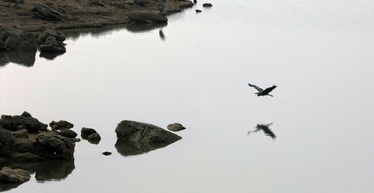 Cip Baraj Gölü: Göçmen Kuşların Cenneti