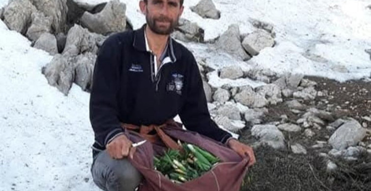 Çiriş Otu: Doğanın Lezzeti