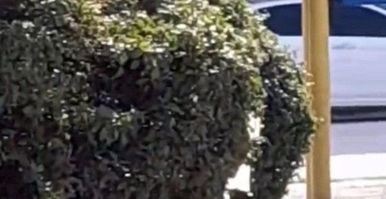 Çocuk Parkında Sigara İçilmesi Üzerine Mahalle Muhtarından Çağrı