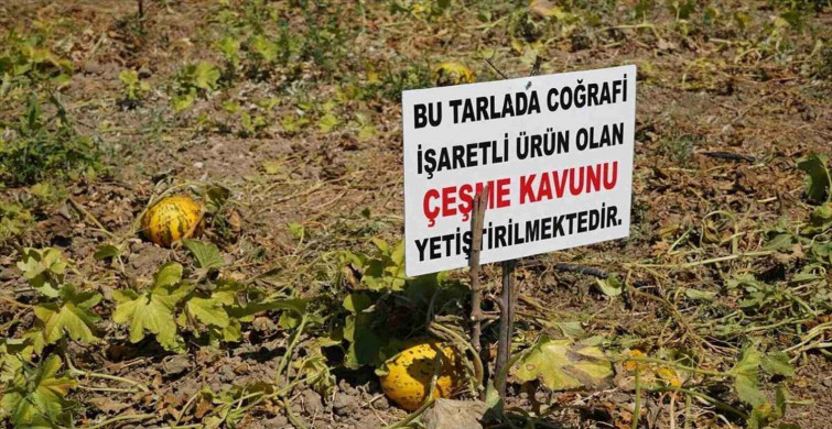 Coğrafi işaret nedir? Coğrafi işaret nasıl alınır? Coğrafi işaretli ürünler listesi