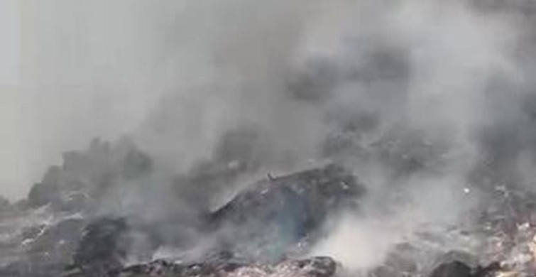 Çöp döküm alanındaki yangın ormana sıçradı
