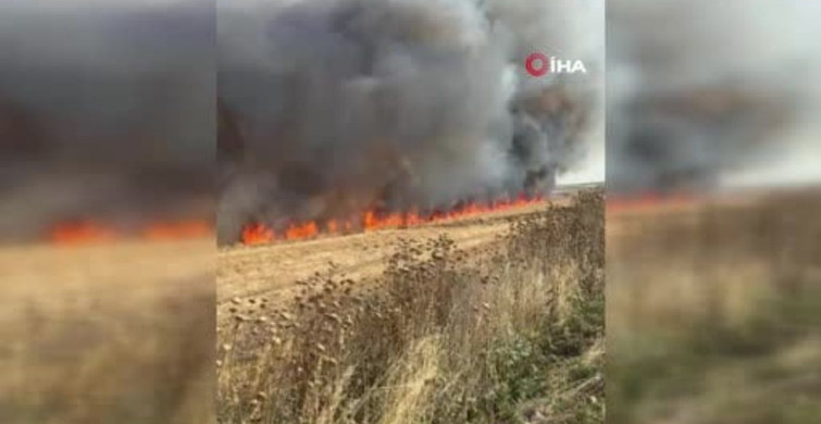 Çorlu'da buğday tarlasında yangın çıktı