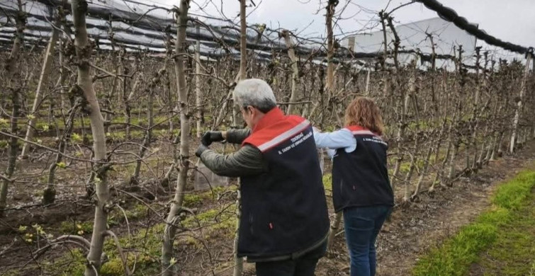 Çorlu’da Kahverengi Kokarca ile Mücadele Başlatıldı