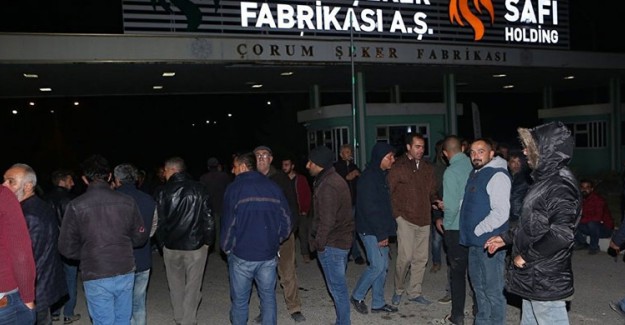 Çorum Şeker Fabrikası'nda İşçiler Eylem Yaptı!