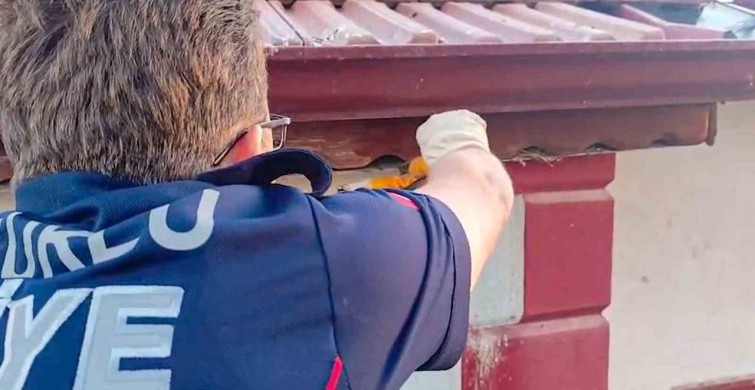Çorum'da çatı kenarına sıkışan kuş, itfaiye ekipleri tarafından kurtarıldı