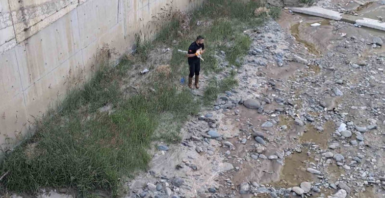 Çorum'da çaya düşen kediyi itfaiye ekipleri kurtardı