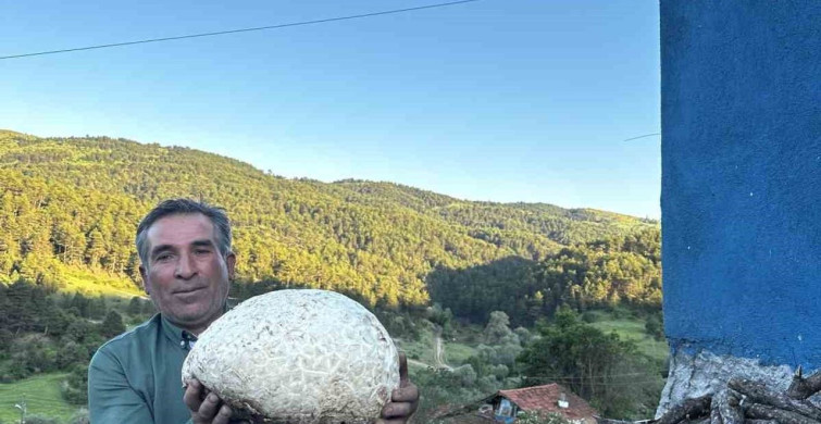 Çorumda dev mantar bulundu: 5 kilo 102 gram