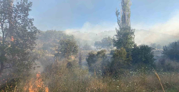 Çorum'da orman yangını: itfaiye ve orman ekipleri müdahale ediyor