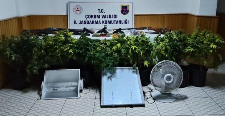 Çorum'da Uyuşturucu Bitki Üreticilerine Operasyon