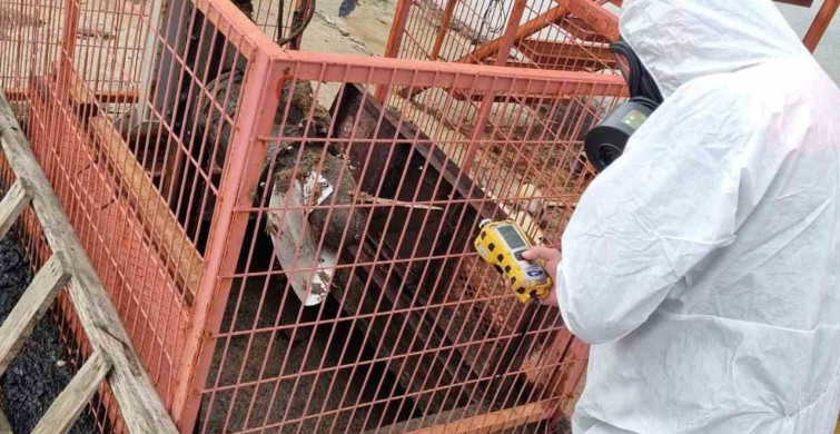 Çorum'daki Çiftlikte Gaz Sızıntısı İhbari İncelendi