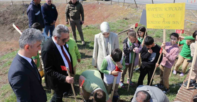 Cumayeri’nde Fidan Dikimi Etkinliği Gerçekleştirildi