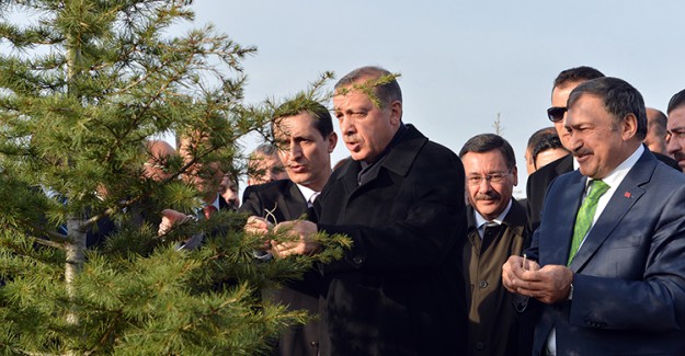Cumhurbaşkanı Erdoğan: Eğer Önlem Almazsak...