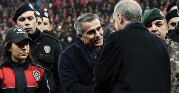 Cumhurbaşkanı Erdoğan Şenol Güneş'i Tebrik Etti 
