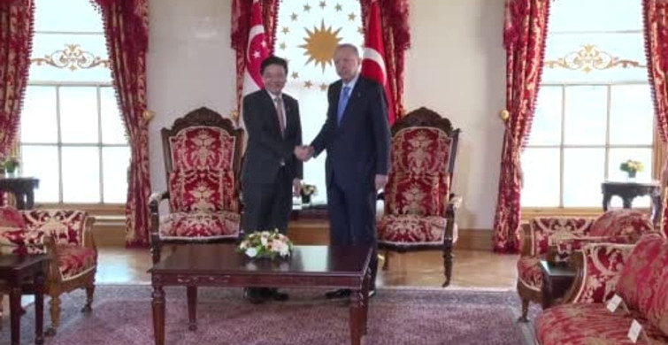 Cumhurbaşkanı Erdoğan, Singapur Başbakanı Lawrence Wong'u kabul etti