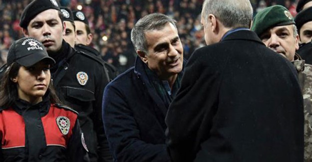 Cumhurbaşkanı Erdoğan'dan Şenol Güneş ve Milli Takım Yorumu