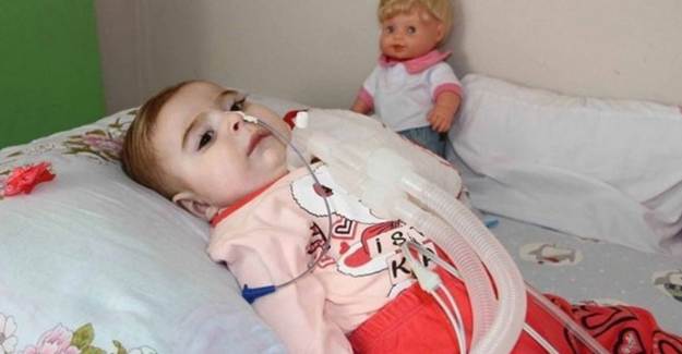 Cumhurbaşkanı Erdoğan'dan SMA Hastalığına Yönelik Talimat